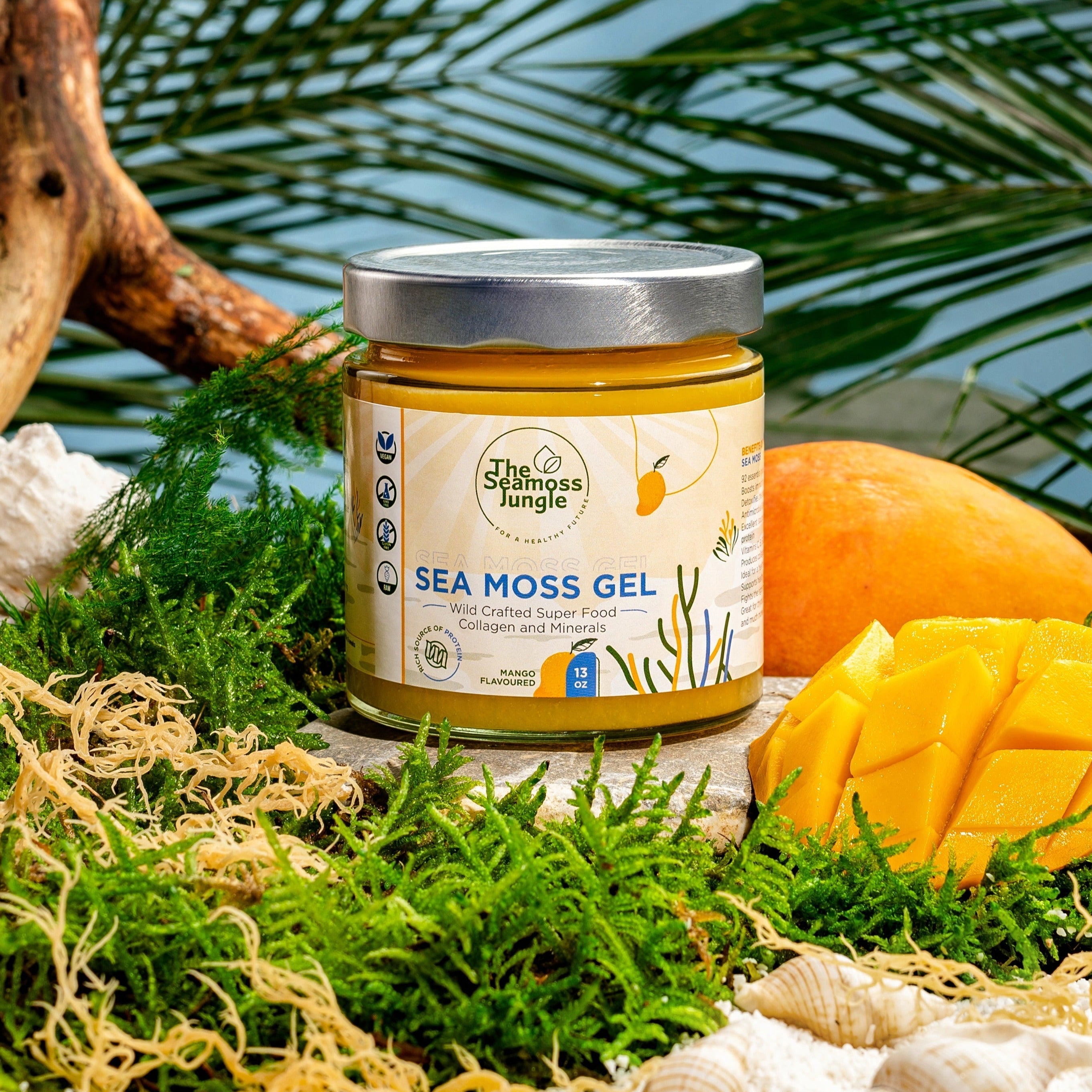 Sea moss gel: das kraftvolle superfood für deine gesundheit