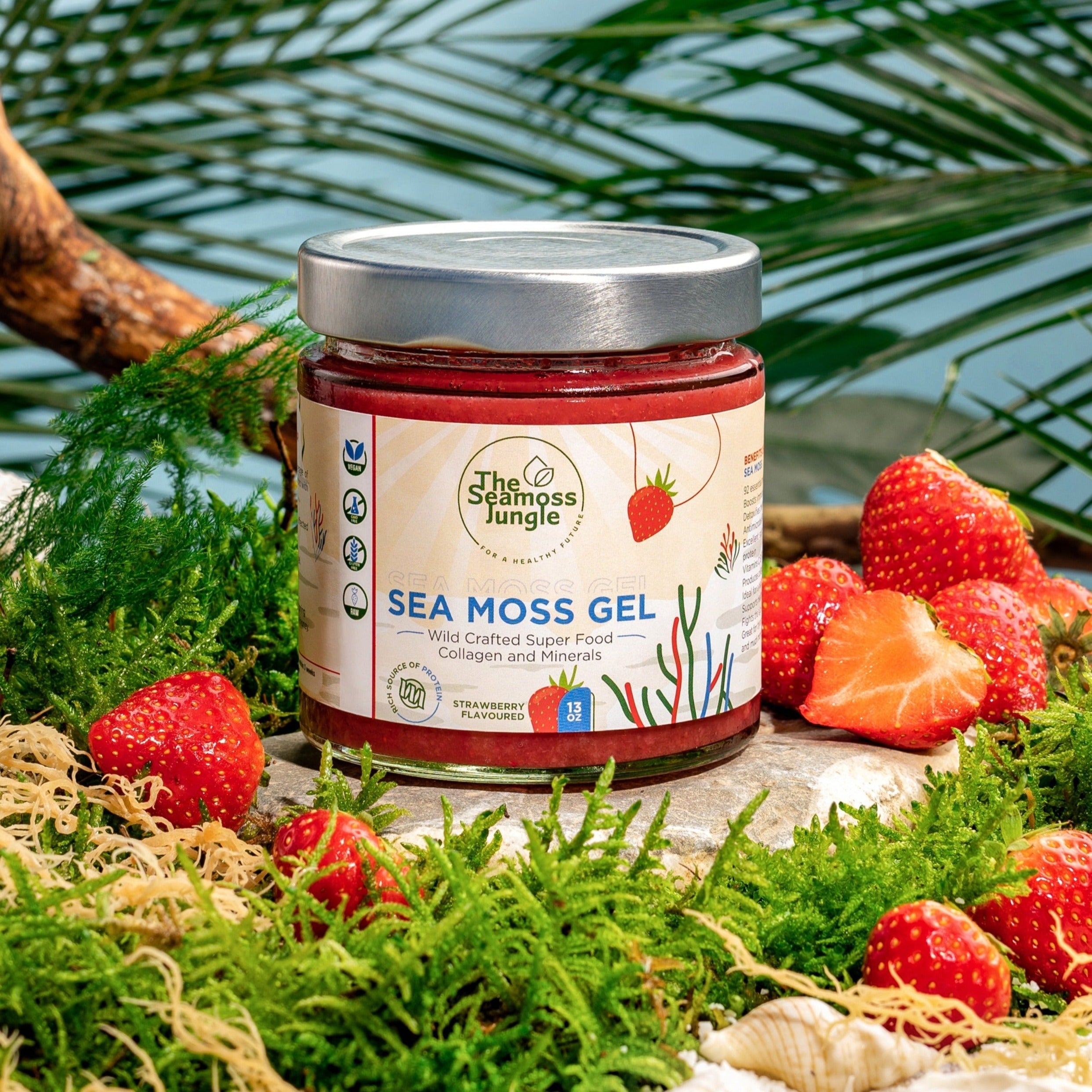 Sea moss inhaltsstoffe: mineralien, vitamine und jod im seemoos