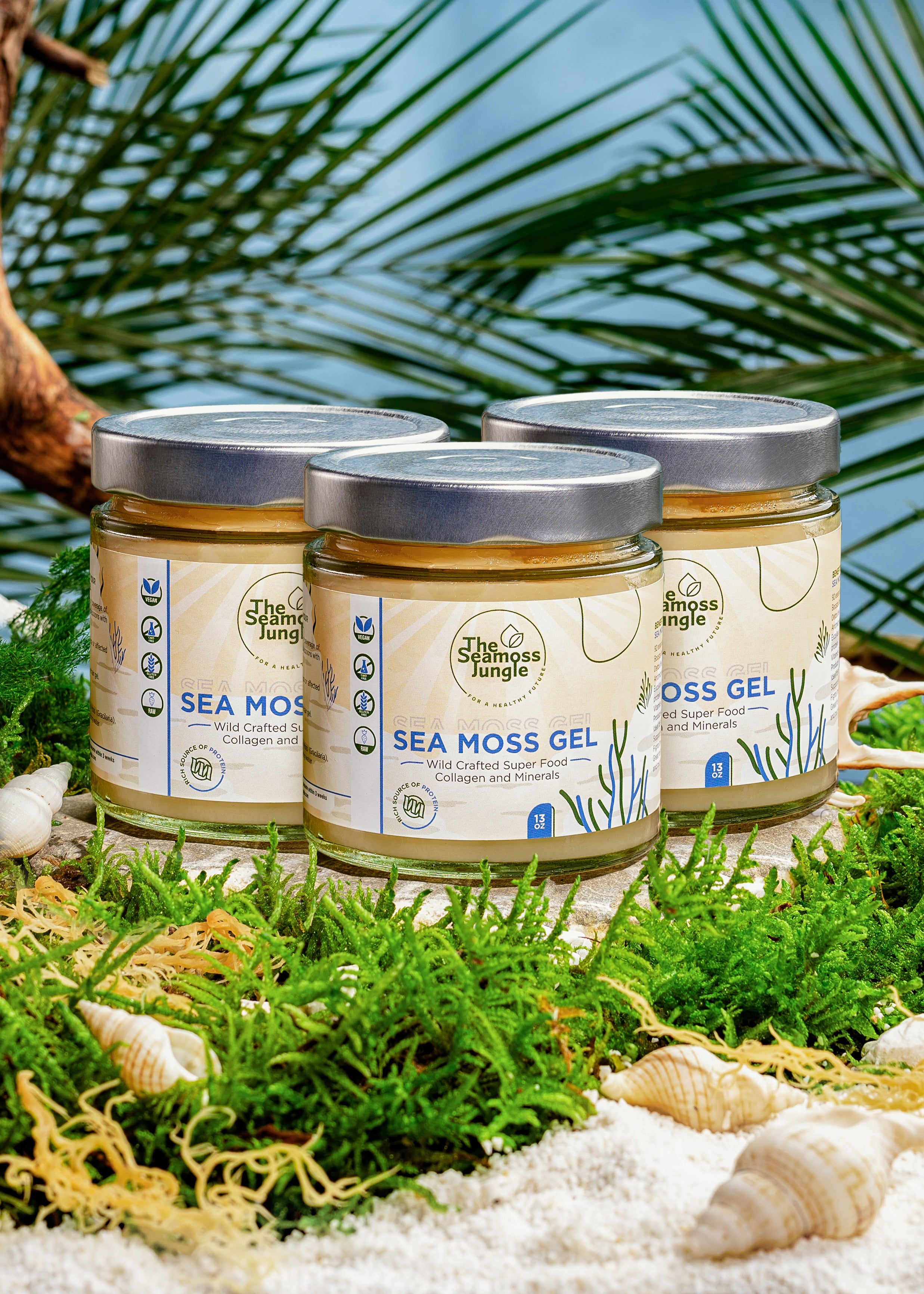 Sea Moss Gel - 3 Potten